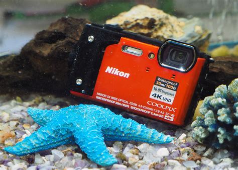 10 Best Underwater Cameras in 2022 - StreetPhotographyColor