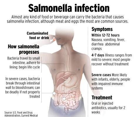 Salmonellosis Infection (Salmonellosis) | Granthealth.org