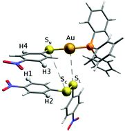 The influence of gold(i) on the mechanism of thiolate, disulfide ...