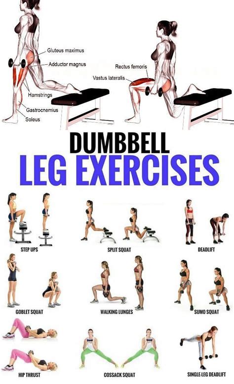 Top 5 Dumbbell Exercises for A Leg-Destroying Workout - GymGuider.com | Leg workouts gym, Lower ...