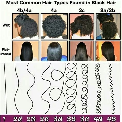 Most common hair types in black hair | Black hair types, Hair type ...