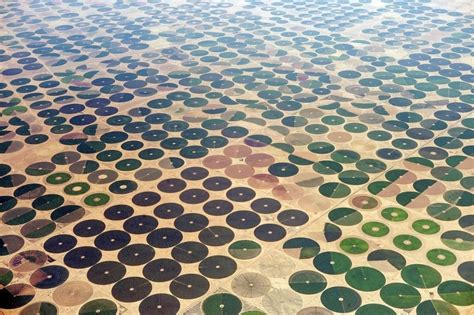 Farms in Saudi Arabia : r/pics