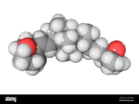 Calcifediol molecule. Computer model showing the structure of a molecule of the pre-hormone ...