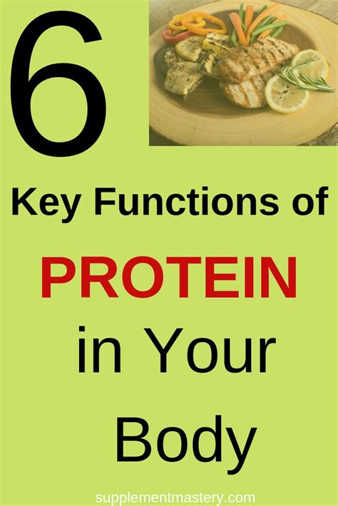 Here are 6 key functions of protein in your body. | Protein, Body, Types of muscles