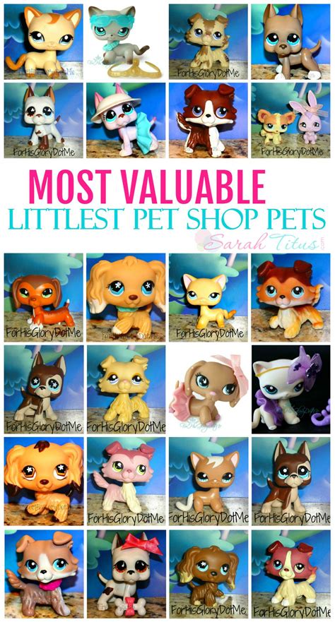 Most Valuable & Rare Littlest Pet Shop Pets List | Lps pets, Little pet shop toys, Lps toys