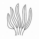 Premium Vector  Cartoon Sea Objects With seaweed And Coral Outlined sketch template