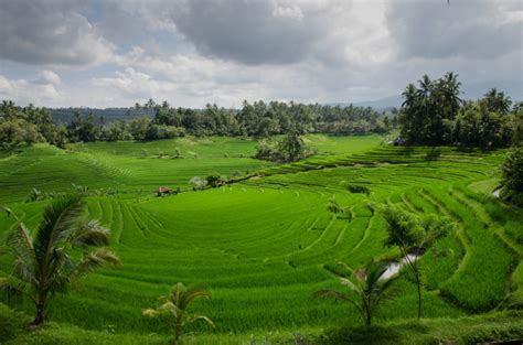 Bali: An unforgettable yoga retreat in Ubud • Uncharted Traveller