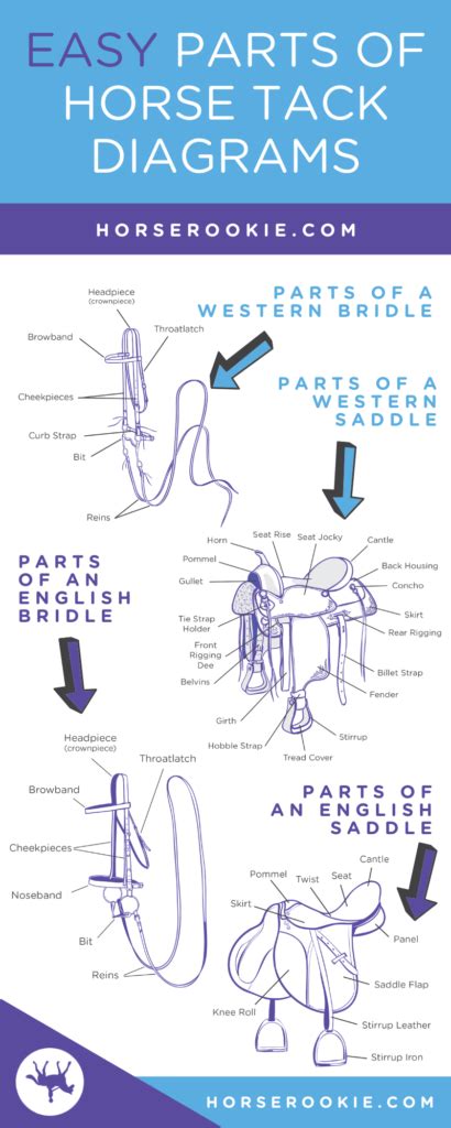 Horse Riding Gear for Beginners (Quick-Print Equipment List)