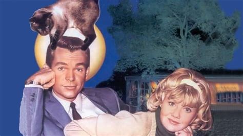 That Darn Cat! (1965) — The Movie Database (TMDb)