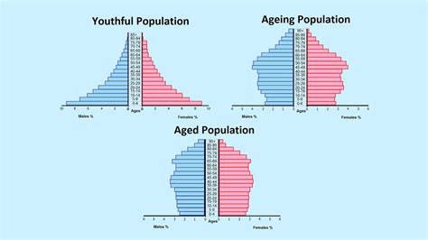 How to Read a Population Pyramid - YouTube