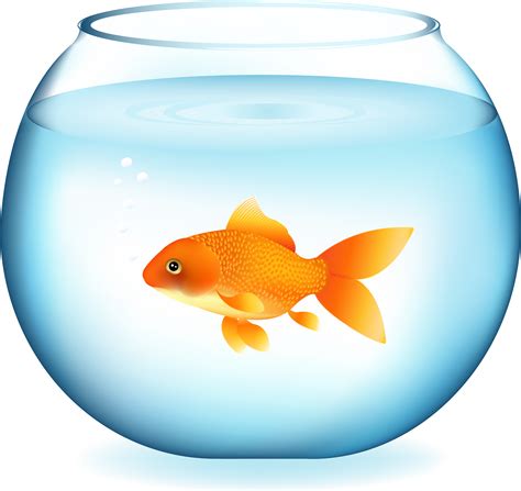 Vector free, Fish art, Goldfish