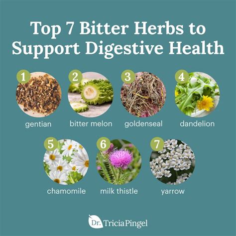 Top 7 Bitter Herbs to Support Digestive Health | Digestive bitters ...