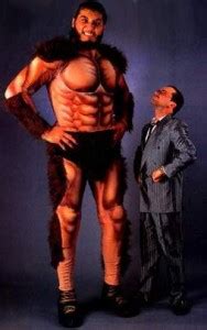 Find all the WWE tallest superstar