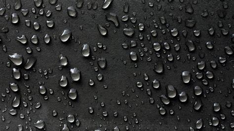 1280x720 resolution | macro photography of water droplets HD wallpaper ...