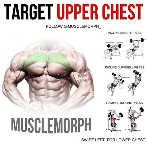 UPPER/LOWER CHEST Exercises @musclemorph_... | Chest workouts, Lower ...