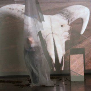 A photograph of an image of a buck skull projected into a room ...