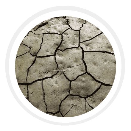 Types Of Soil - Sandy Soil, Clay Soil, Silt Soil, And Loamy Soil