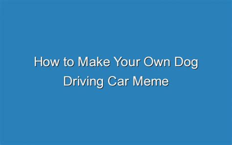 How To Make Your Own Dog Driving Car Meme - Updated Ideas