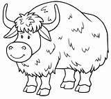 Realistic Yak Coloring Page  Free Printable Pages For Kids sketch template
