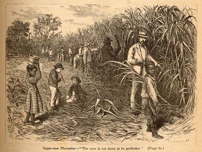 8. [ECON] Describe the sugar plantation system used by the Portuguese ...