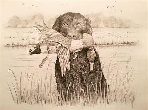 8.5"X11" pencil on paper "Hunt'n Buddy" Wildlife art, drawing, hunting, duck hunting, waterfowl ...