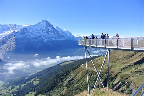 Lookout from Grindelwald First Switzerland (also the most expensive cable car trip you'll ...