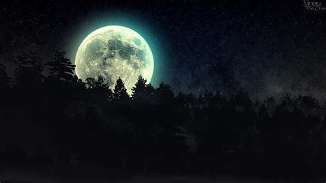 HD wallpaper: Forest Moonlight HD, forests, night, stars, trees | Wallpaper Flare