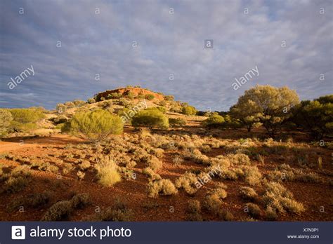 Gibson Desert Stock Photos & Gibson Desert Stock Images - Alamy