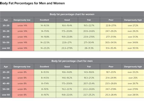 Body Muscle To Fat Ratio at Jerry Pena blog