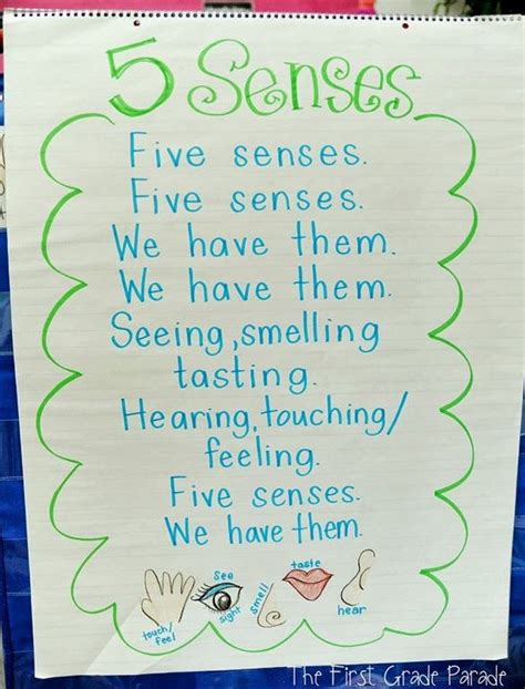 5 Sense Song to the tune of Where Is Thumbkin | Senses preschool, Five ...