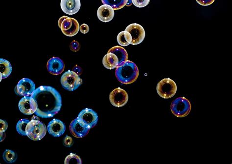 Free Stock image of Soap bubbles floating on black background | ScienceStockPhotos.com