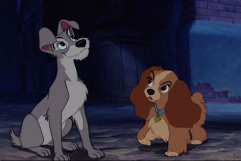 Lady and the Tramp - Disney's Lady and the Tramp Image (9960500) - Fanpop