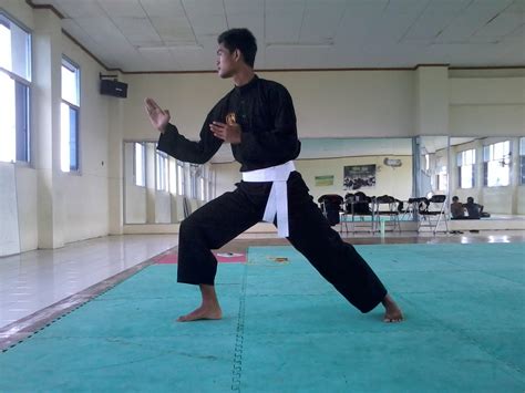 10 Basic Techniques of Pencak Silat that Beginners Need to Master! - Sinaumedia