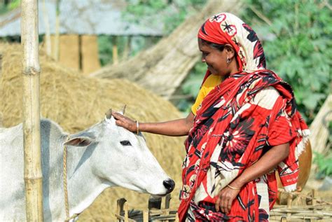 Woman Dairy Farmer in Bangladesh | Women in leadership, Women, Female ...