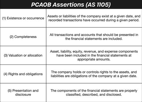 Audit Assertions | With Examples