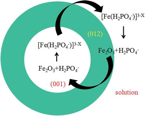 Schematic illustration for formation of ring-like structure. | Download ...