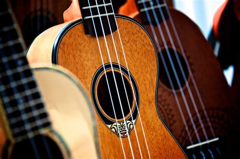 Free Images : music, acoustic guitar, musical instrument, ukulele, bassist, hawaiian, guitarist ...