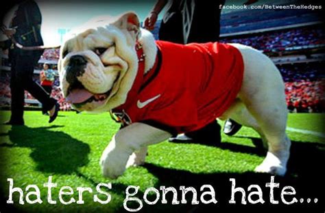 1000+ images about Go dawgs! on Pinterest | Helmets, Tailgating and ...