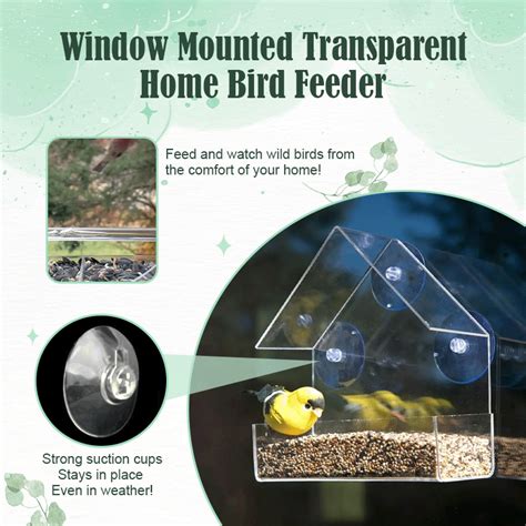 Window Bird Feeder - cosmosmearch