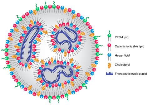 Pharmaceuticals | Free Full-Text | The Future of Tissue-Targeted Lipid ...