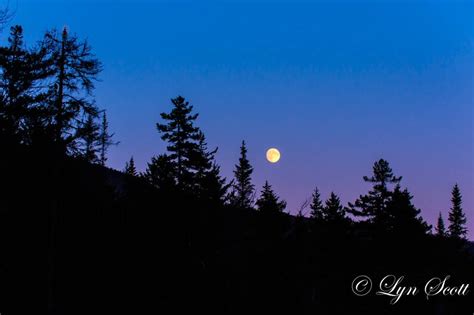 Moon Rising Nature Photography Fine Art Wall Art Home - Etsy