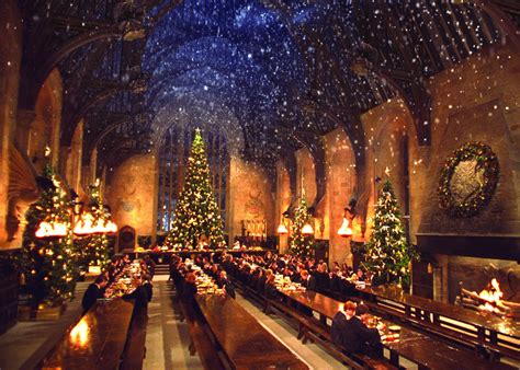 Discover the Great Hall, Harry Potter's First Look at Hogwarts - Newsweek