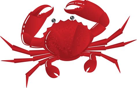 Crab PNG Transparent Images | PNG All | Crab clipart, Crab, Crab ...