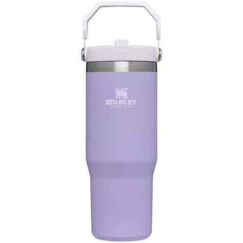 Stanley The IceFlow 30 oz Classic Flip Straw Tumbler | Academy