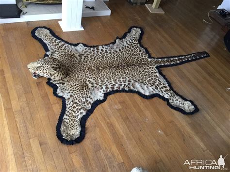 Leopard Skin Rug Taxidermy | AfricaHunting.com