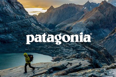 Patagonia Logo Mountains