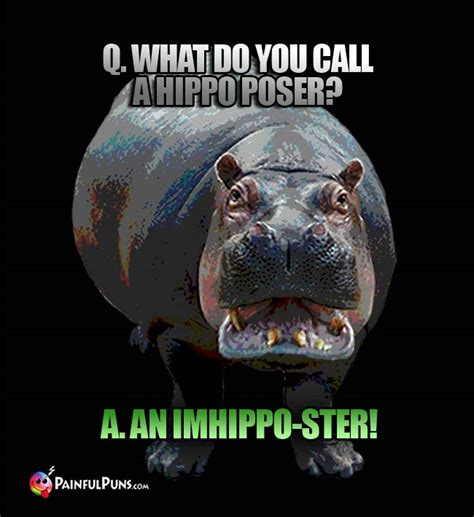 Hippo Jokes, Hippopotamus Puns | PainfulPuns.com