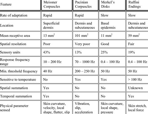 Functional Features of Cutaneous Mechanoreceptors | Download Scientific Diagram