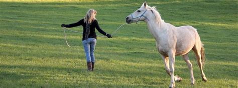 Natural Horsemanship Training - River Valley Lodge