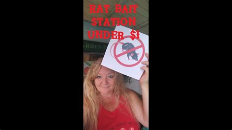 DIY Rat Bait Station under $1 - YouTube